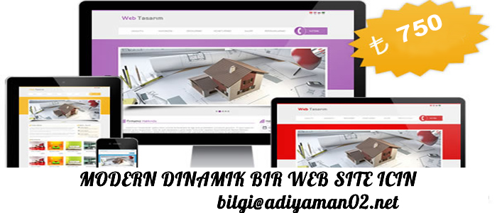 499 TL WEB SİTESİ